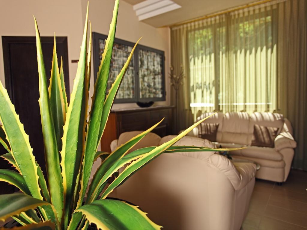 Euro Hotel Pieve Santo Stefano Exterior photo